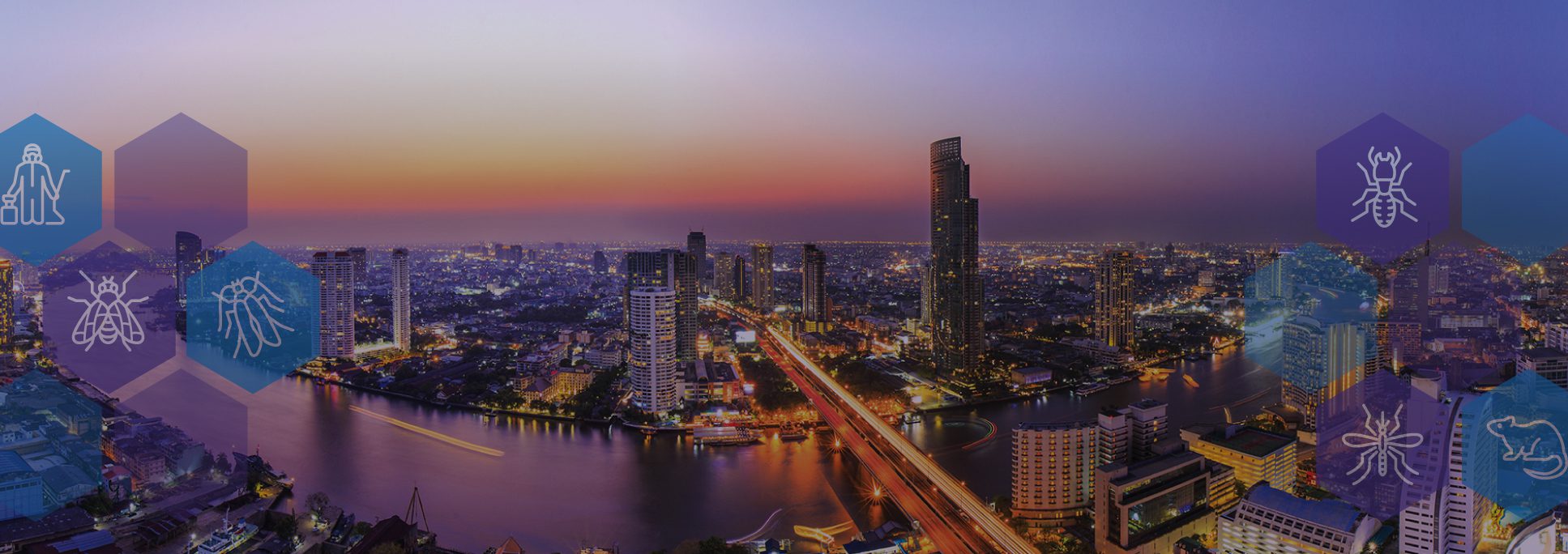 Professional pest control building